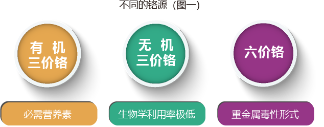 不同的铬源（图一）