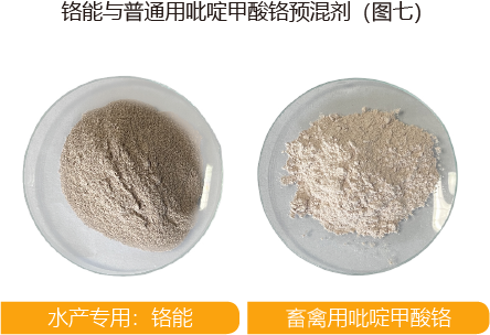 铬能与普通用吡啶甲酸铬预混剂（图七）