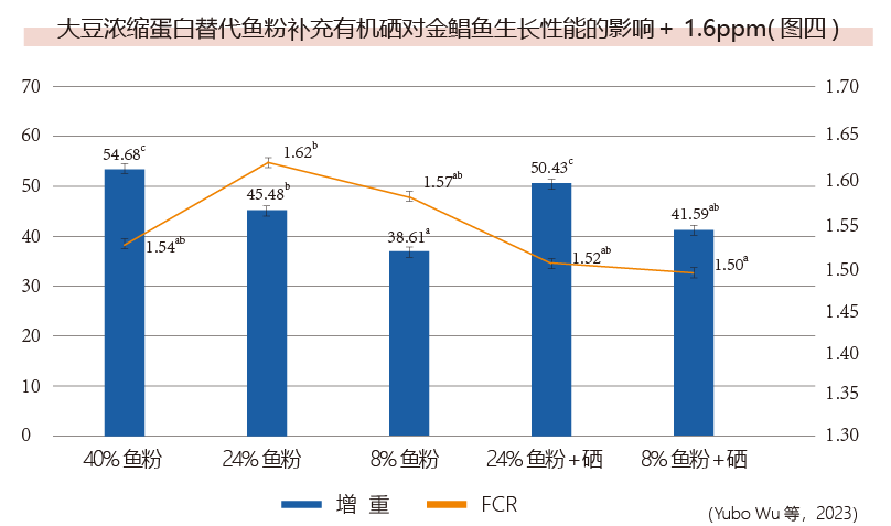 大豆浓缩蛋白替代鱼粉补充有机硒对金鲳鱼生长性能的影响＋1.6ppm(图四)