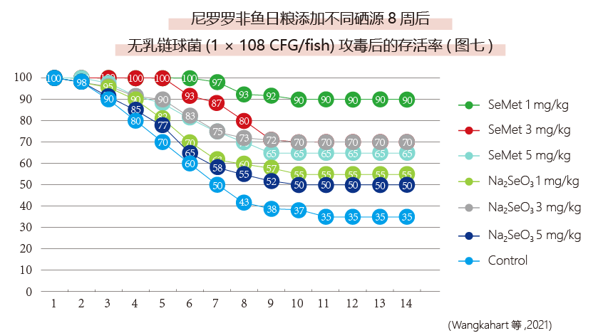 尼罗罗非鱼日粮添加不同硒源8周后